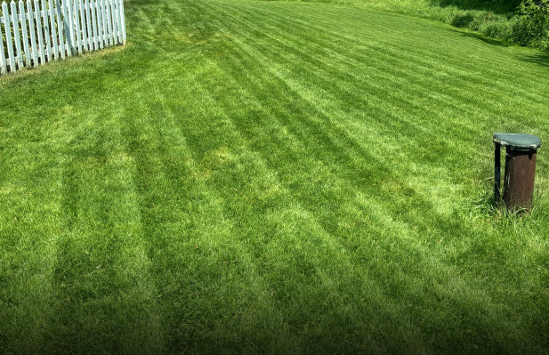 Robot grass cutter for 0.3 acre residential yards