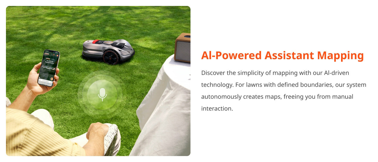 AI Mapping