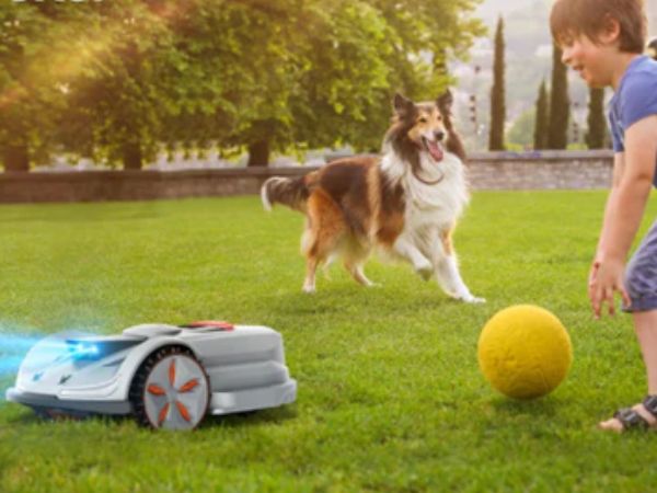 Lawn Mowers Robot and Pet Safety: What Owners Need to Know