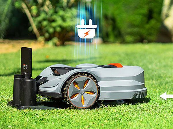 Essential Lawn Care Tips with SUNSEEKER
