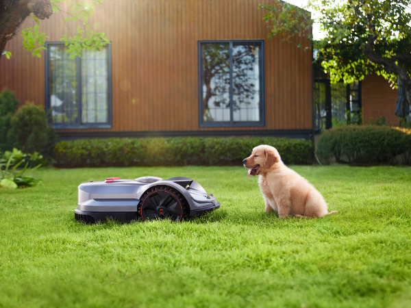 Best Pet-Friendly Robot Lawn Mowers: A Dog & Cat Owner's Guide