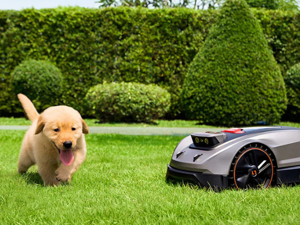 Robot Lawn Mowers and Pet Safety