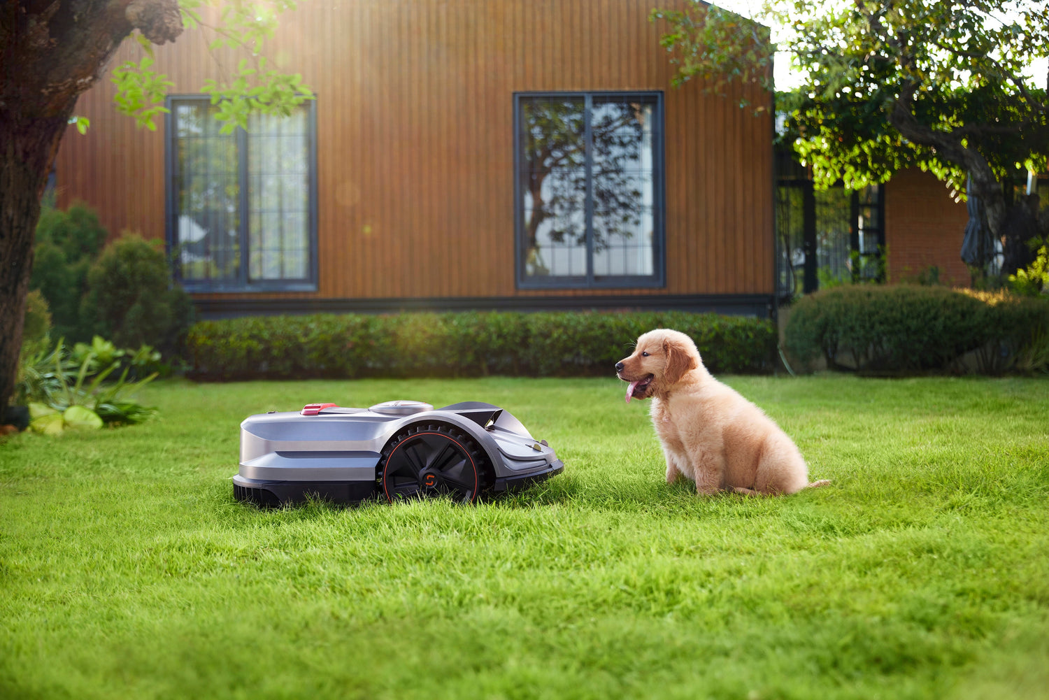 Pet-Friendly Robot Lawn Mowers - Sunseeker X7