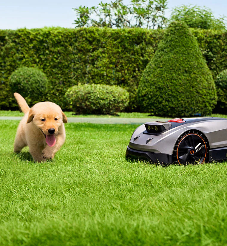 Robotic Lawn Mowers Sunseeker