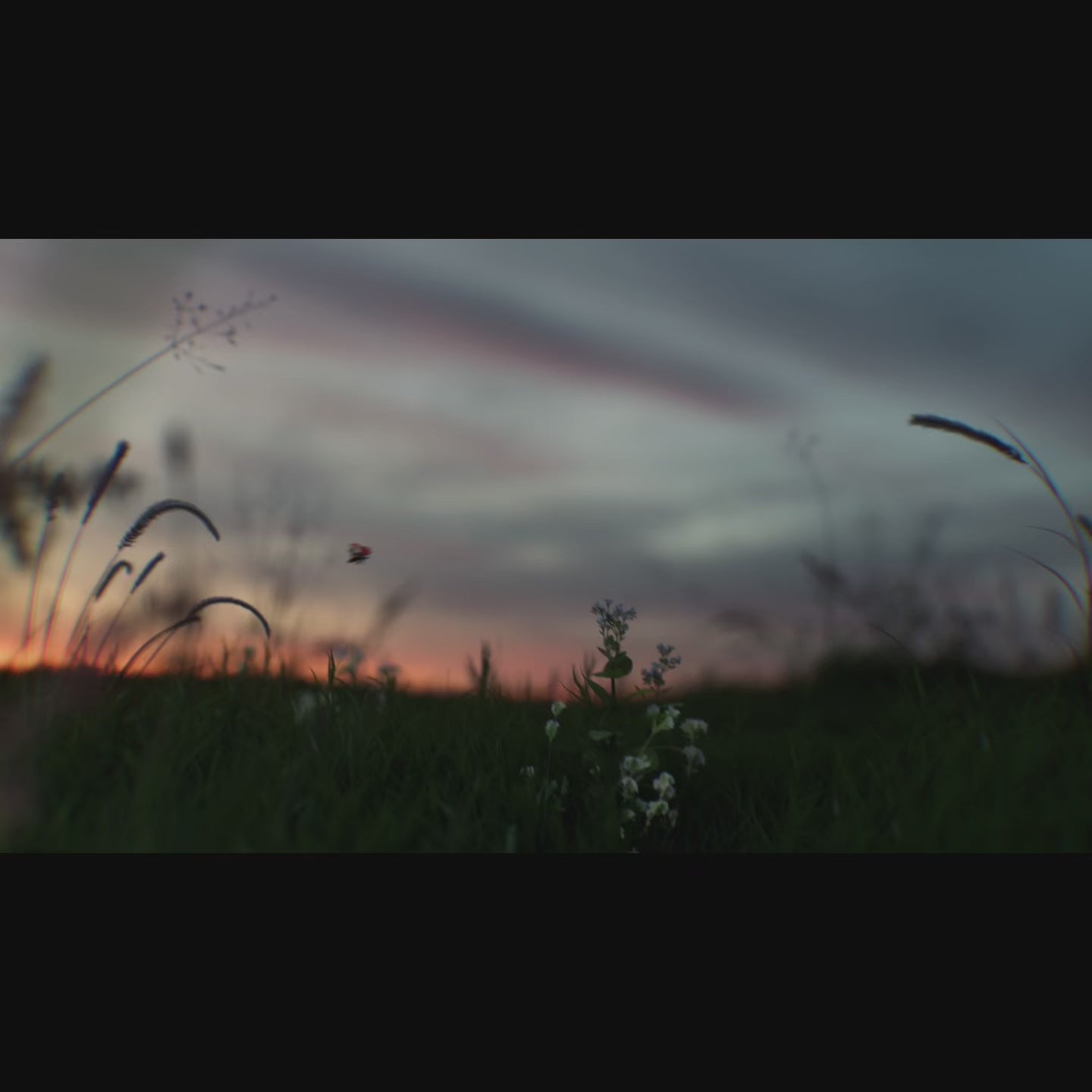 Load video: S4 Wireless Robot Lawn Mower l 0.25 Acre