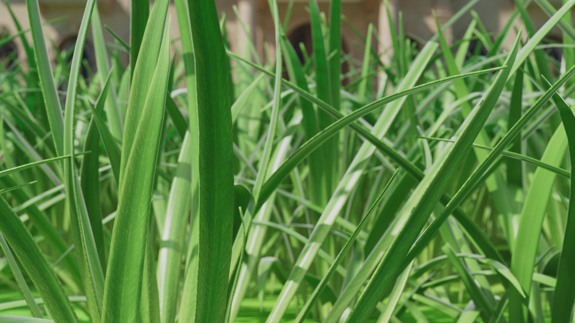 Load video: V3  Robot Lawn Mower | 0.15Acre | ReadyGo™