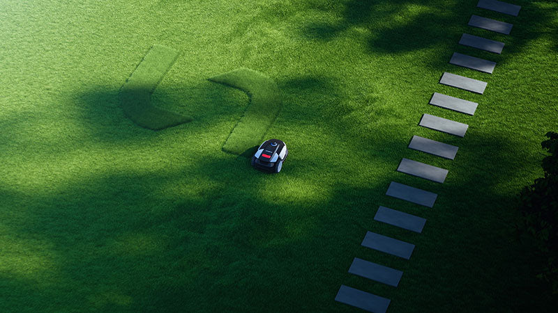 Lawn Aesthetics Enthusiast